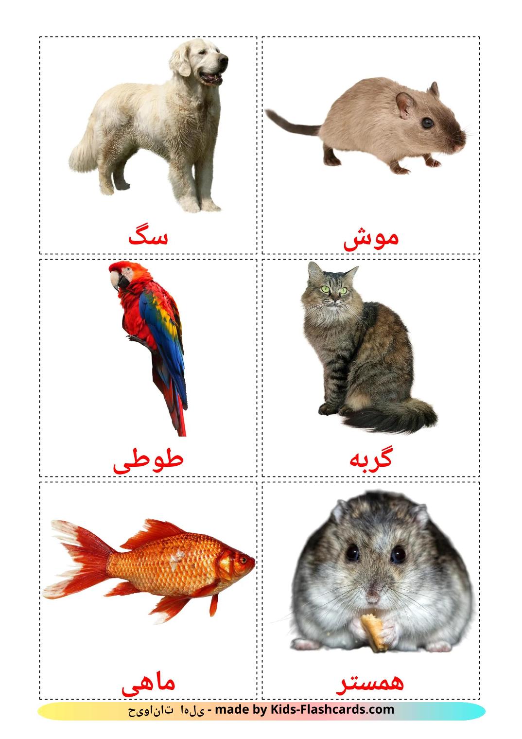 Domestic animals - 11 Free Printable persian Flashcards 