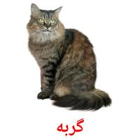گربه card for translate