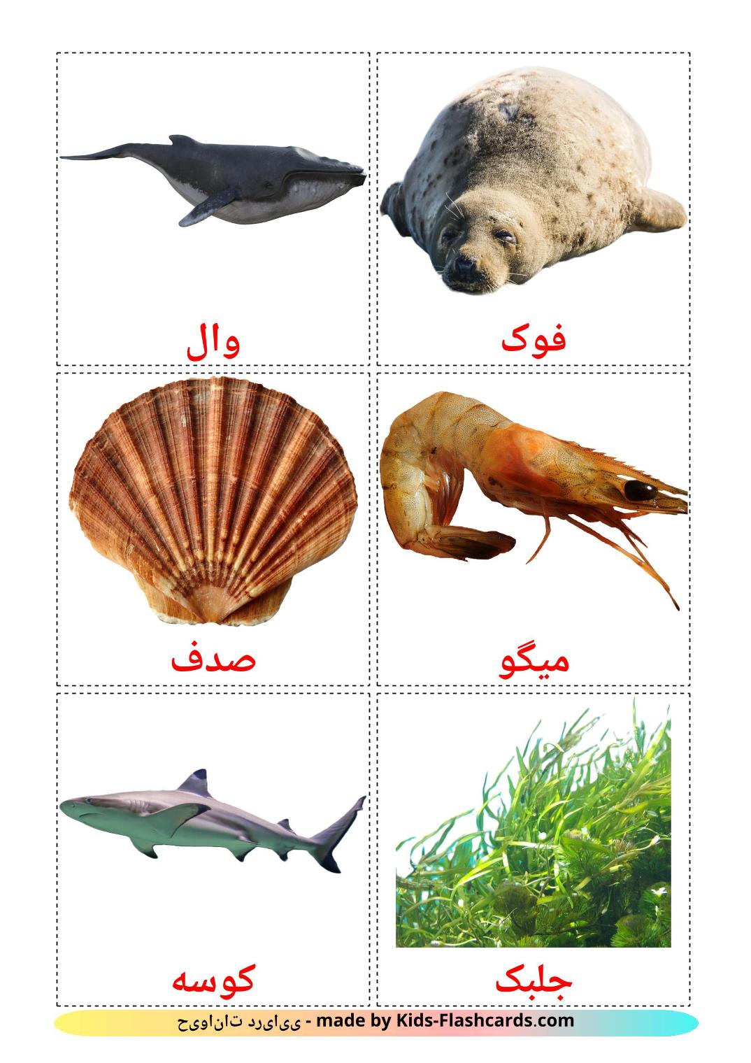 Sea animals - 29 Free Printable persian Flashcards 