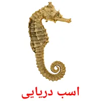 اسب دریایی Tarjetas didacticas