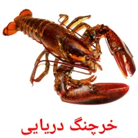 خرچنگ دریایی Tarjetas didacticas