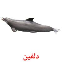 دلفین card for translate