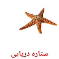 ستاره دریایی Tarjetas didacticas