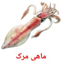 ماهی مرک picture flashcards
