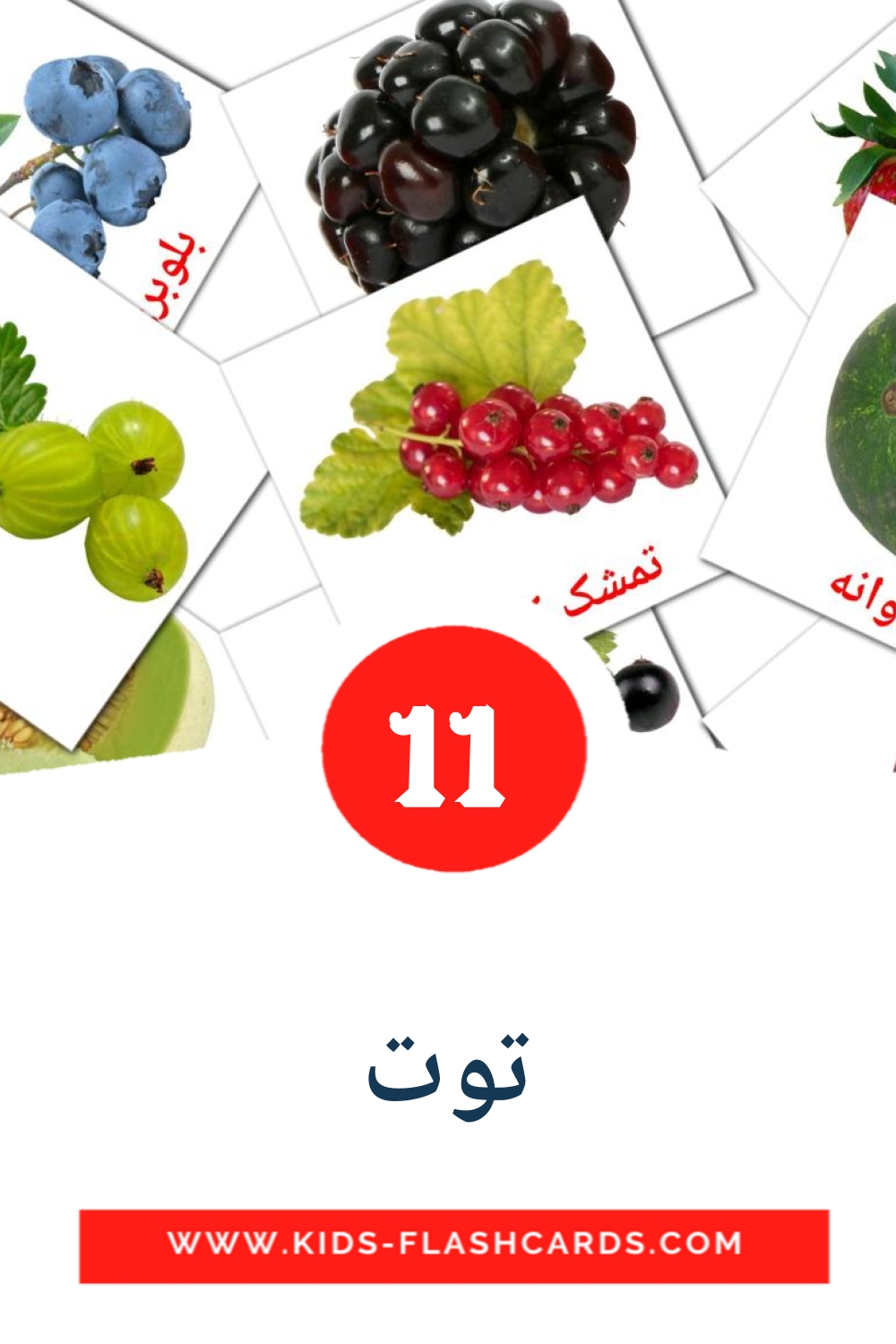 11 cartes illustrées de توت pour la maternelle en persan