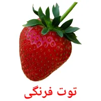 توت فرنگی Bildkarteikarten