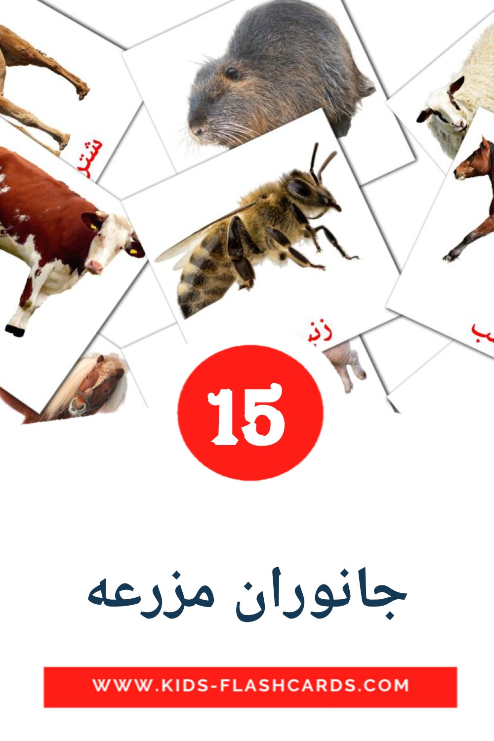 15 جانوران مزرعه Picture Cards for Kindergarden in persian