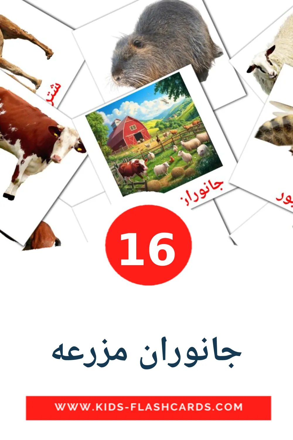 16 جانوران مزرعه Picture Cards for Kindergarden in persian