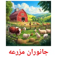 جانوران مزرعه picture flashcards