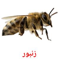 زنبور card for translate
