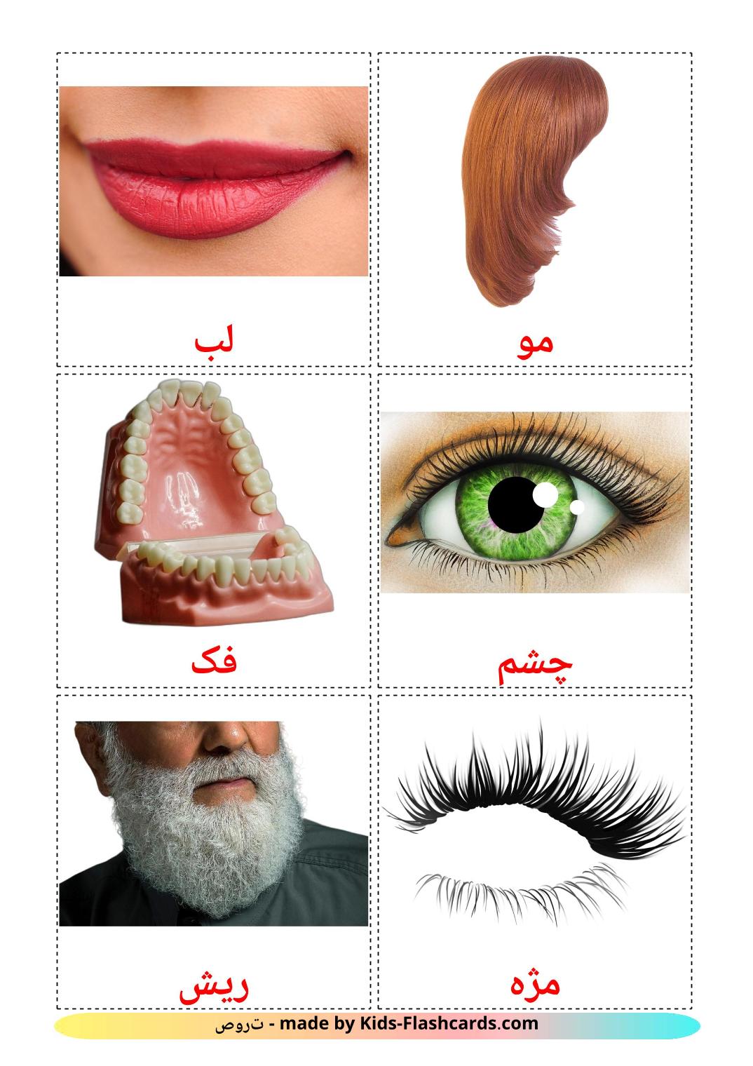 Face - 20 Free Printable persian Flashcards 