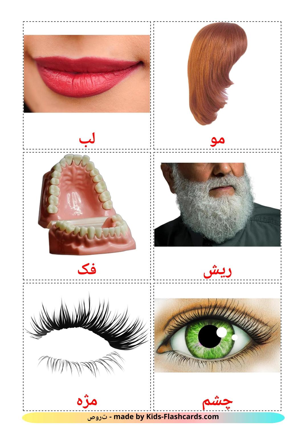 Parties du Visage - 20 Flashcards persan imprimables gratuitement