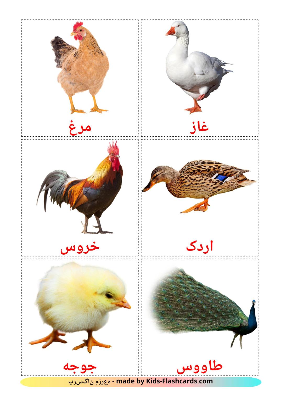 Farm birds - 11 Free Printable persian Flashcards 