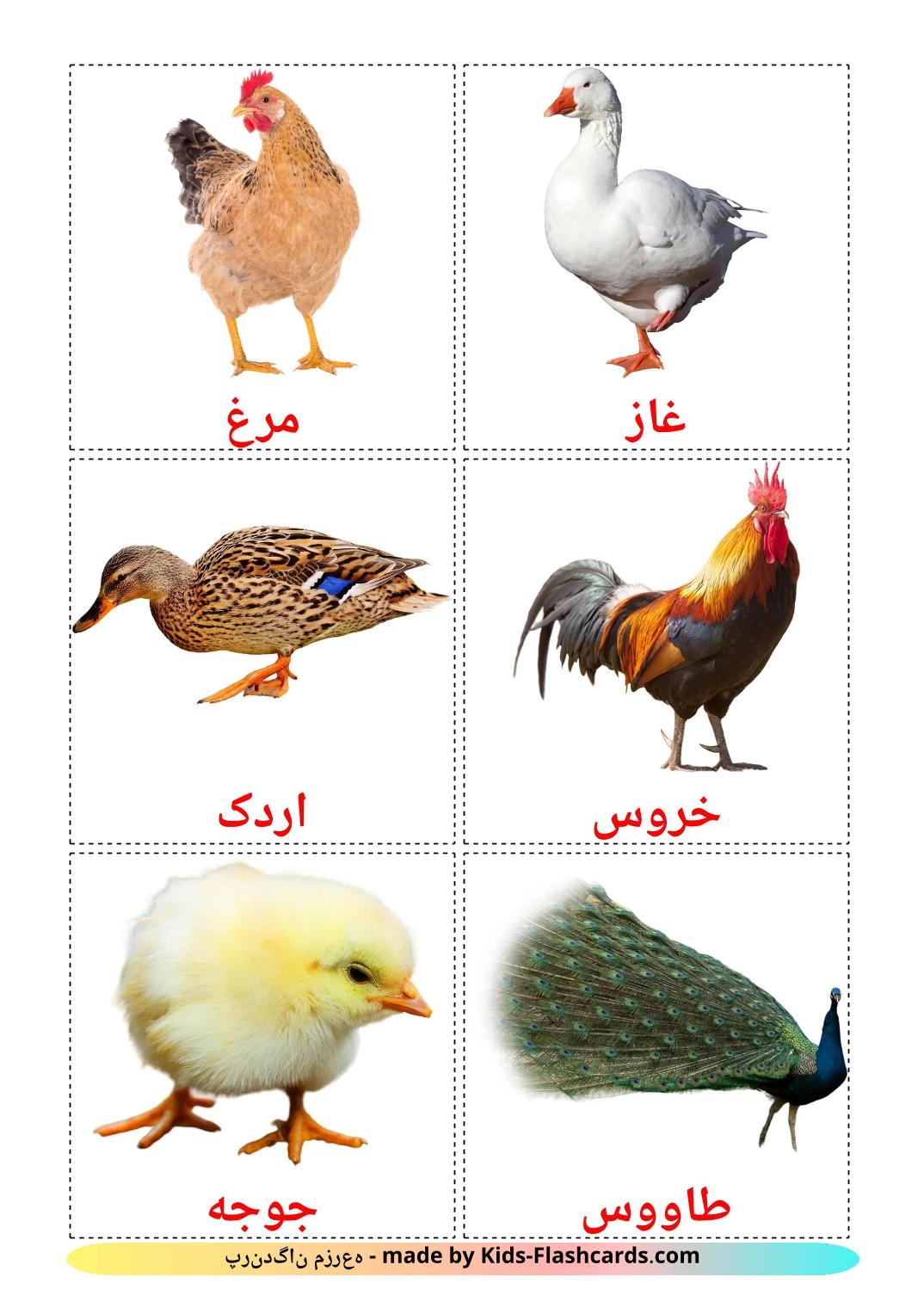 Farm birds - 12 Free Printable persian Flashcards 