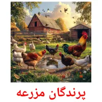 پرندگان مزرعه Tarjetas didacticas