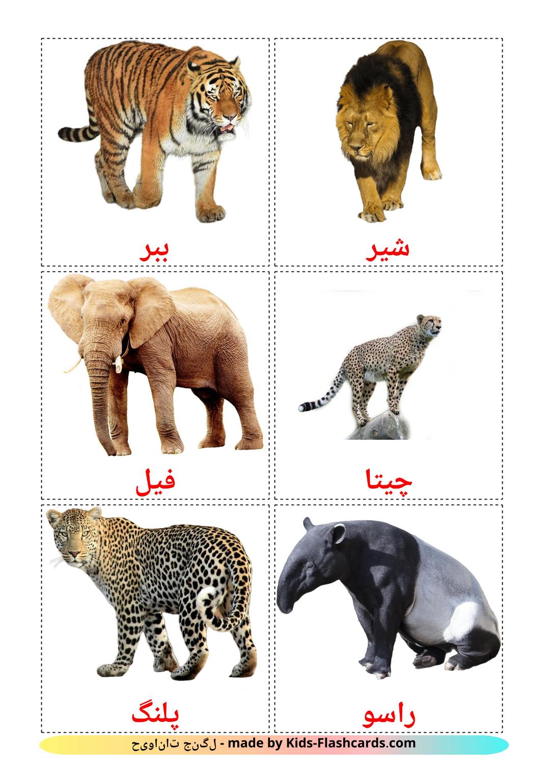 Jungle animals - 21 Free Printable persian Flashcards 