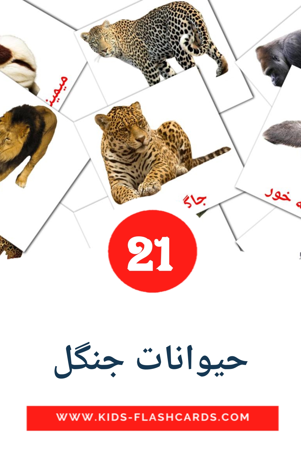 21 حیوانات جنگل Picture Cards for Kindergarden in persian