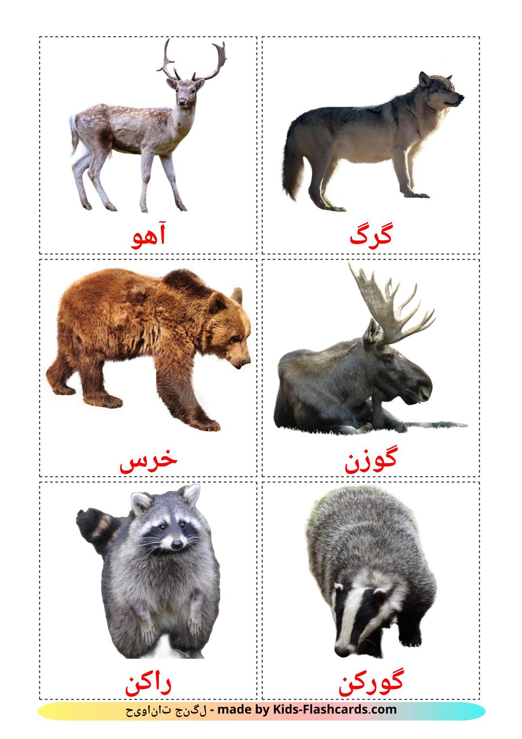 Animali della foresta - 22 flashcards persiano stampabili gratuitamente