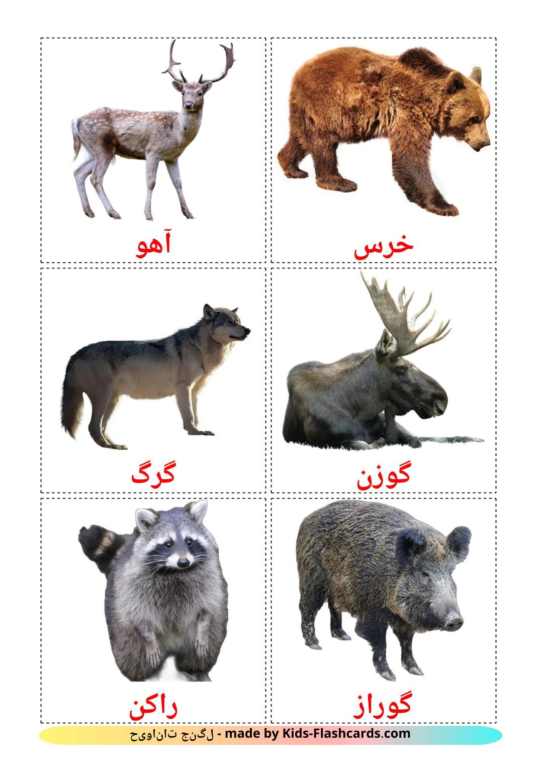 Forest animals - 23 Free Printable persian Flashcards 