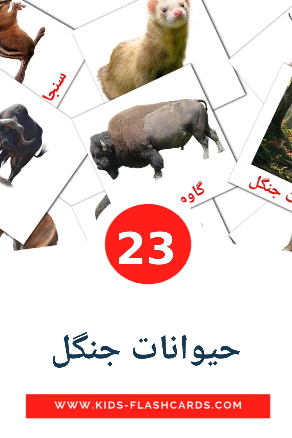 23 حیوانات جنگل Picture Cards for Kindergarden in persian