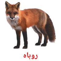روباه flashcards illustrate