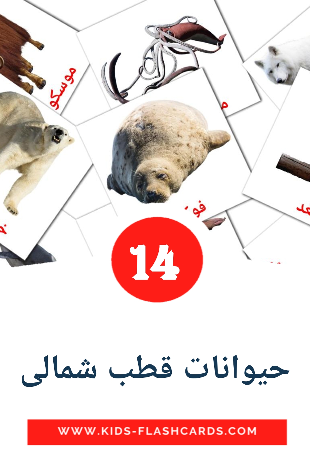 14 cartes illustrées de حیوانات قطب شمالی pour la maternelle en persan