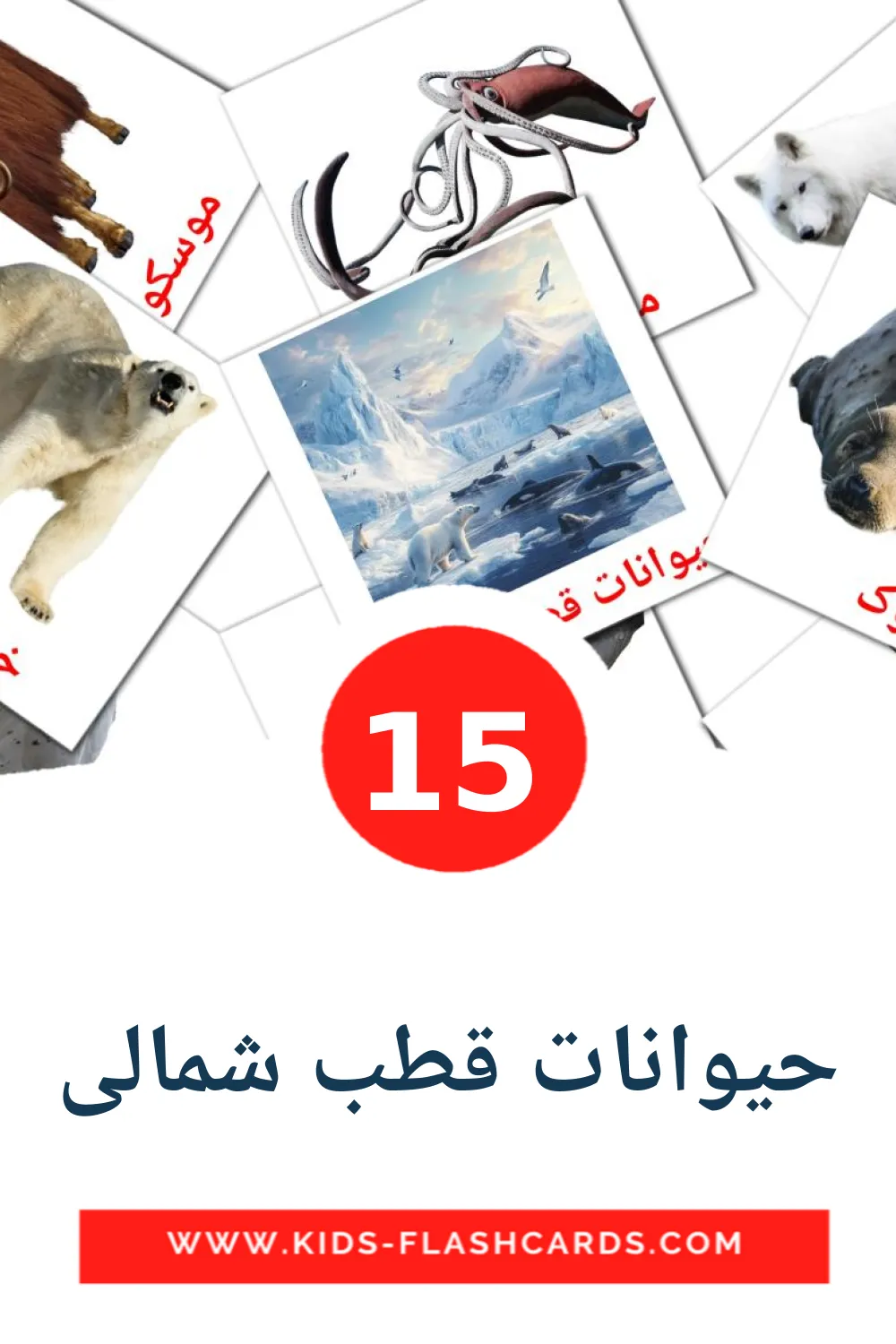 15 حیوانات قطب شمالی Picture Cards for Kindergarden in persian