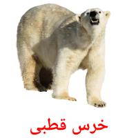 خرس قطبی карточки энциклопедических знаний