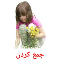 جمع کردن picture flashcards