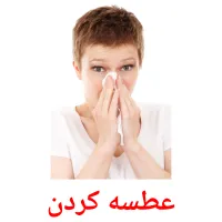 عطسه کردن picture flashcards