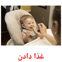 غذا دادن picture flashcards