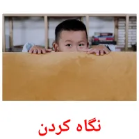 نگاه کردن picture flashcards