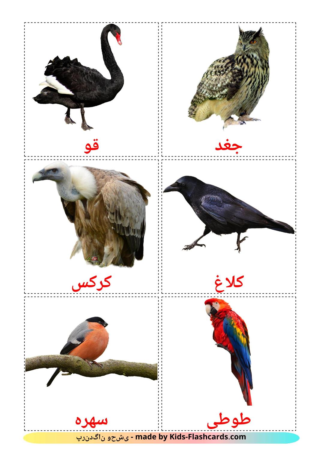 Uccelli selvaggi - 18 flashcards persiano stampabili gratuitamente