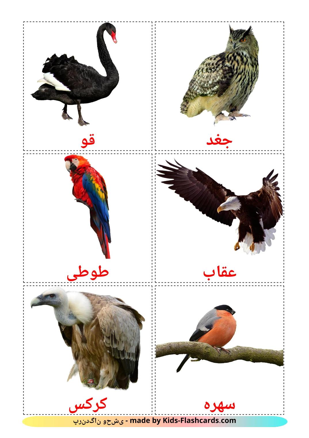 Les Oiseaux Sauvages - 19 Flashcards persan imprimables gratuitement