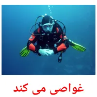 غواصی می کند picture flashcards