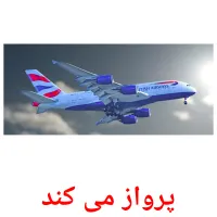 پرواز می کند picture flashcards