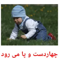 چهاردست و پا می رود picture flashcards