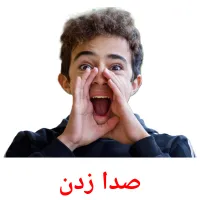 صدا زدن flashcards illustrate