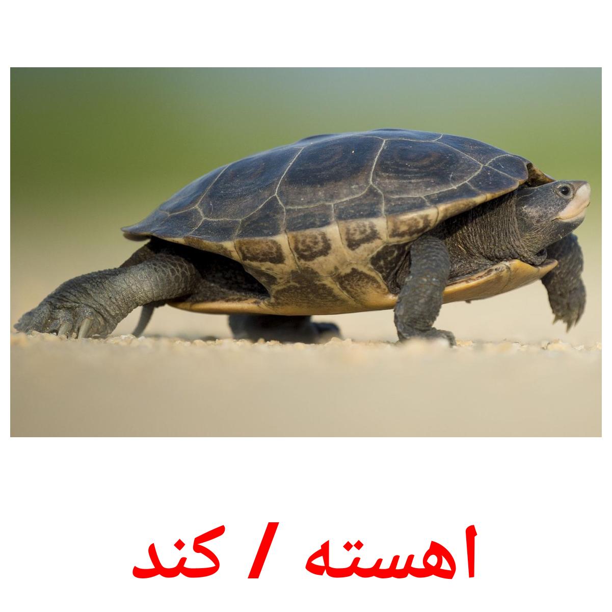 اهسته / کند ansichtkaarten
