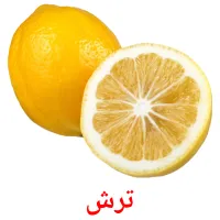 ترش bildekort