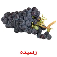 رسیده bildekort