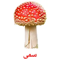 سمی bildekort
