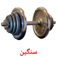 سنگین bildekort