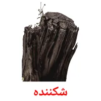شکننده bildekort