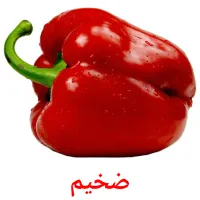 ضخیم bildekort