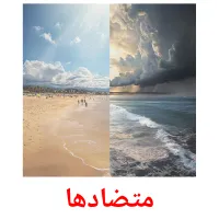متضادها bildekort