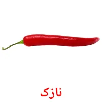 نازک bildekort