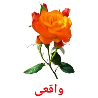 واقعی bildekort