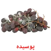 پوسیده bildekort