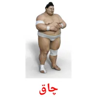 چاق bildekort